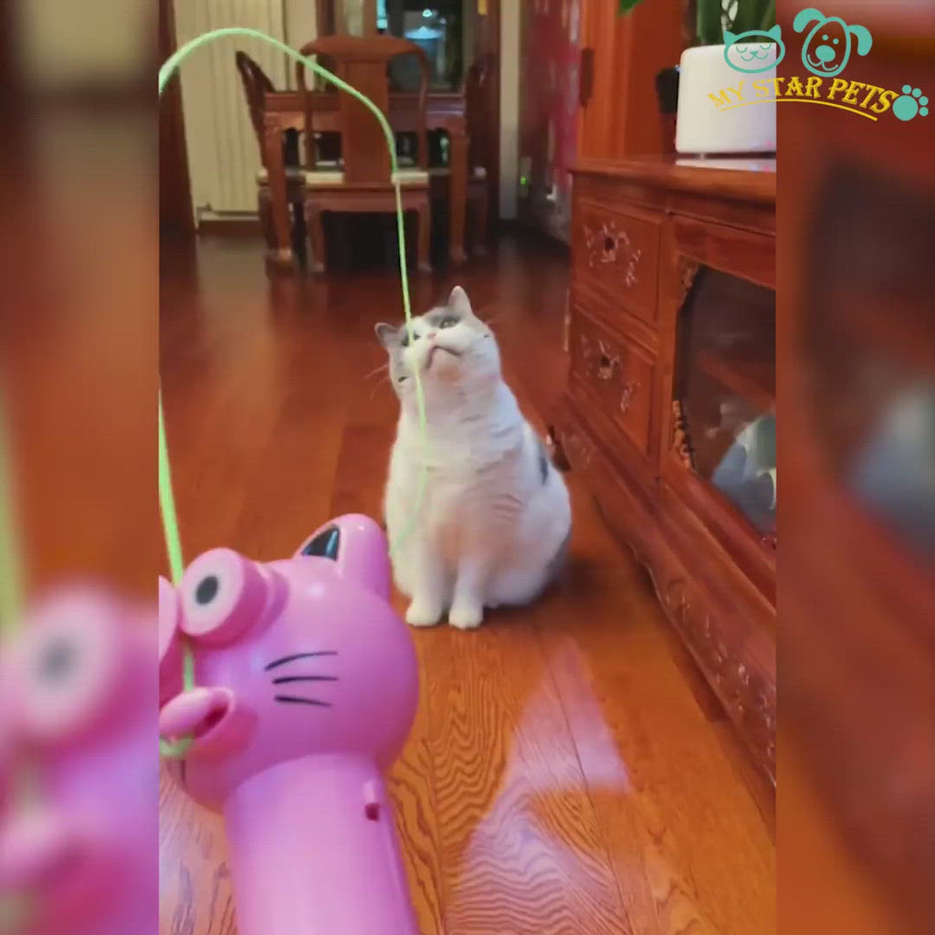cat toys