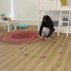 kids fort kit